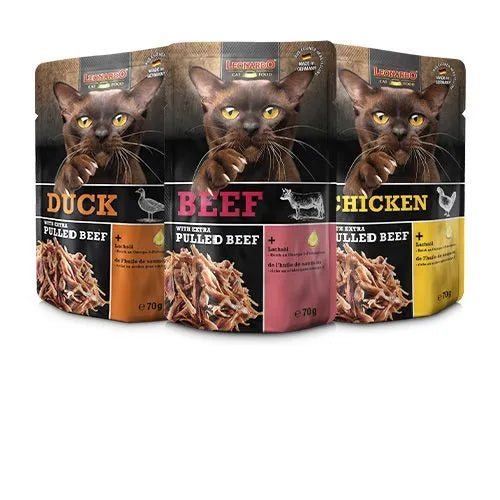 Pulled Beef