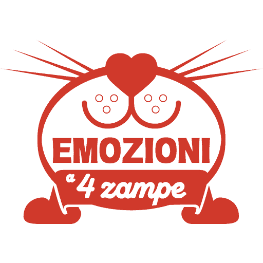 Decorazioni