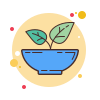 Alimentazione Grain Free