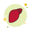 Hepatic