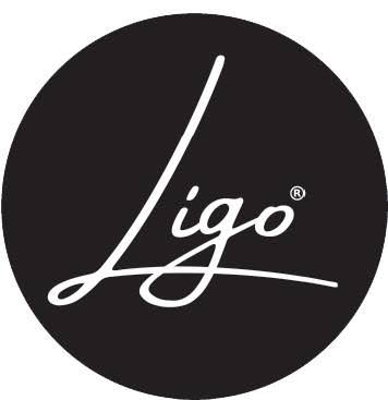 LIGO Cat