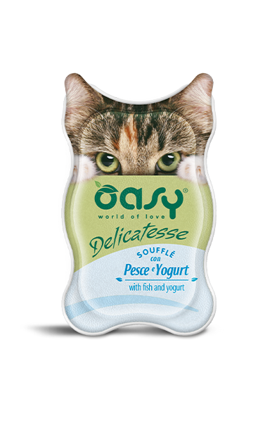 OASY Cat Delicatesse Soufflè con Pesce e Yogurt 18x85gr