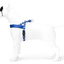 MORSO Pettorina Splash