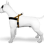 MORSO Pettorina Must Hard Maze