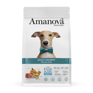 AMANOVA Cane Medium Adult Exigent Iberian Pork al Maiale GF 2Kg
