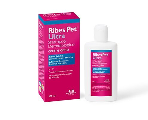 NBF Lanes Ribes Pet Ultra Shampoo Balsamo 200ml