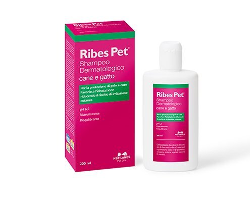 NBF Lanes Ribes Pet Shampoo 200ml