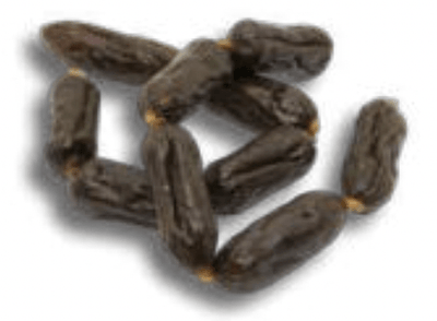 Gusto Snack Barf Salsiccia 100% Cavallo 100gr