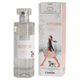 CAMON Ingenya Profumo Cipresso 100ml