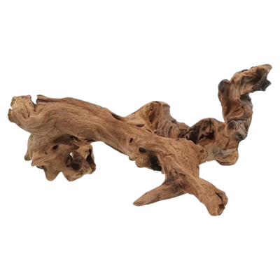 AMTRA Legno Mystic Wood Decorazione Acquario