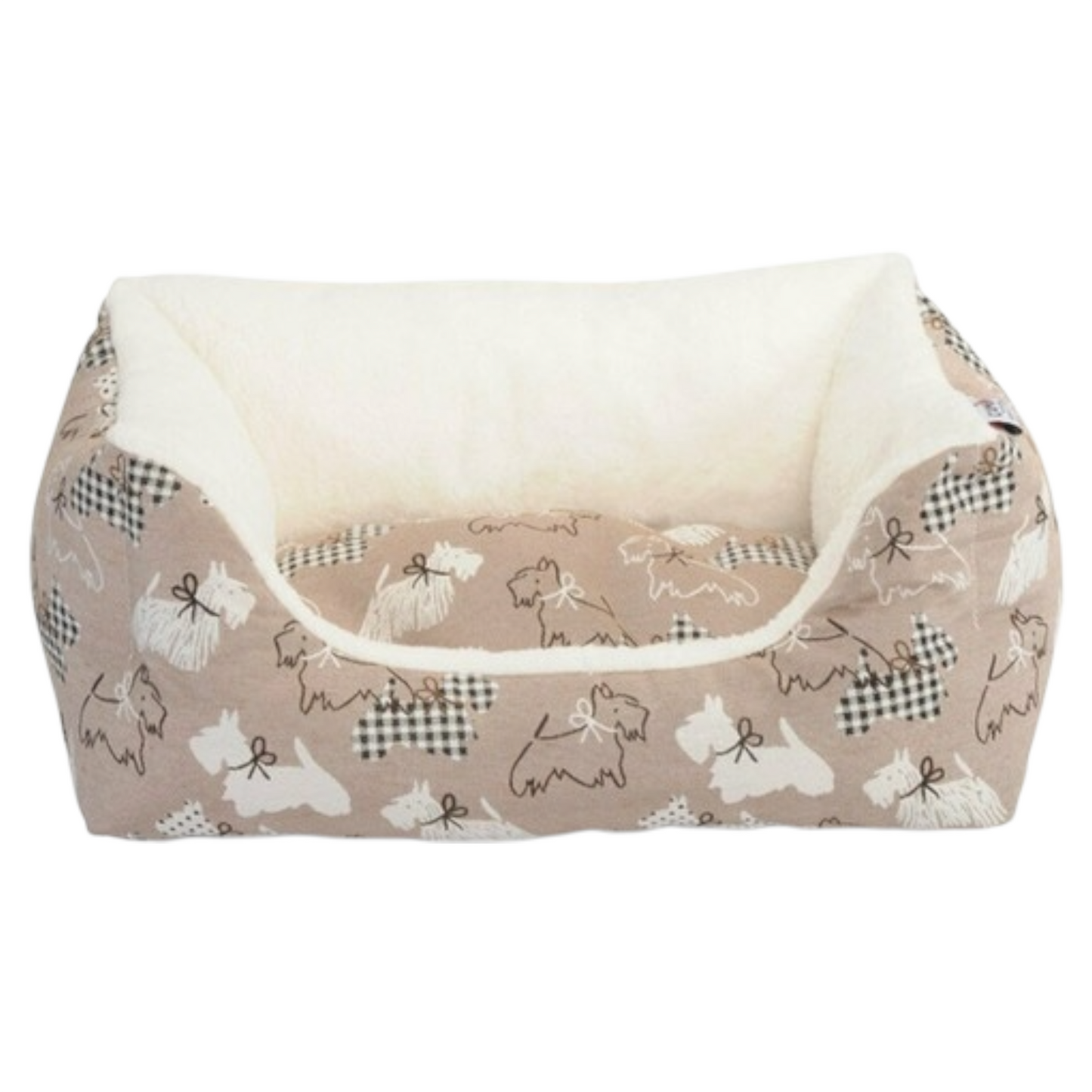 CAMON Cuccia Can Can