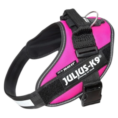 JULIUS K9 Pettorina Powerharness Taglia 0 Fucsia