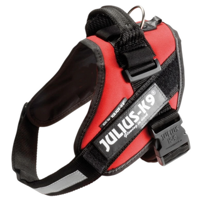 JULIUS K9 Pettorina Powerharness Taglia 0 Rosso