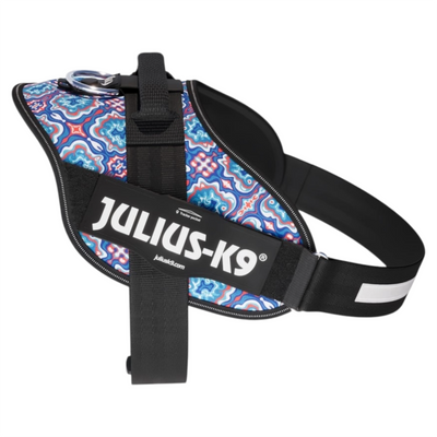 JULIUS K9 Pettorina Powerharness Taglia 1 Blue Spirit