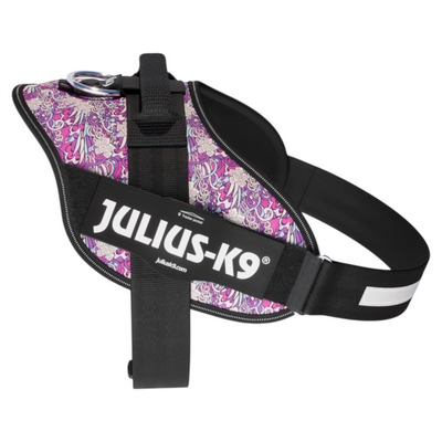 JULIUS K9 Pettorina Powerharness Taglia 1 Purple Lady