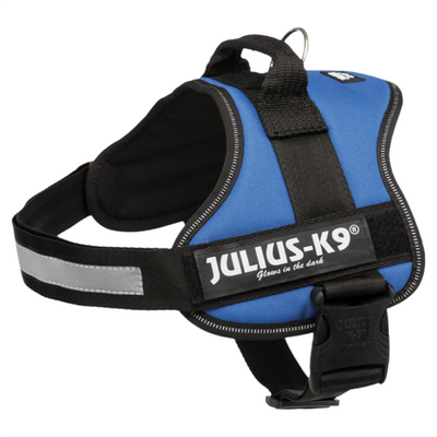 JULIUS K9 Pettorina Powerharness Taglia 3 Blu