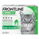 FRONTLINE Combo Gatto (6 Pipette)