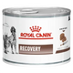 ROYAL CANIN Vet Recovery Cane e Gatto 195Gr