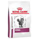 ROYAL CANIN Vet Gatto Renal 400gr