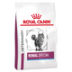 ROYAL CANIN Vet Gatto Renal Special 400gr