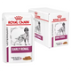 ROYAL CANIN Vet Cane Early Renal 12x100gr (Pack)