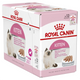 ROYAL CANIN Gatto Kitten Patè 12x85gr (Pack)