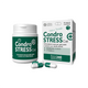 INNOVET CondroStress Gatto 30cpr