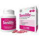 INNOVET Senilife Plus Cane e Gatto 60cpr