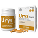 INNOVET Urys Caps Cane e Gatto 30 cpr