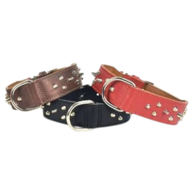 LEOPET Collare Pitbull con Borchie