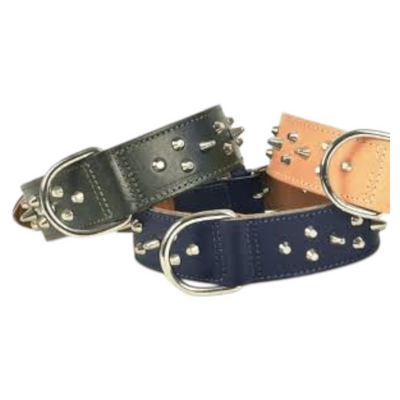 LEOPET Collare Pitbull con Borchie