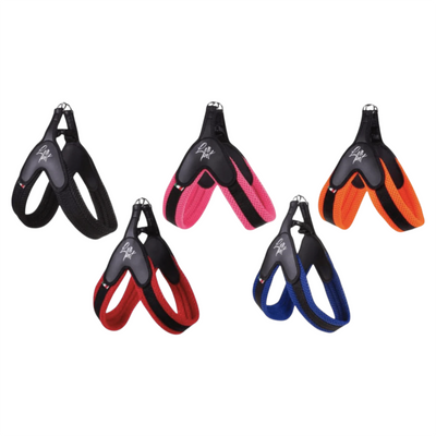 LEOPET Pettorina PVC Mesh