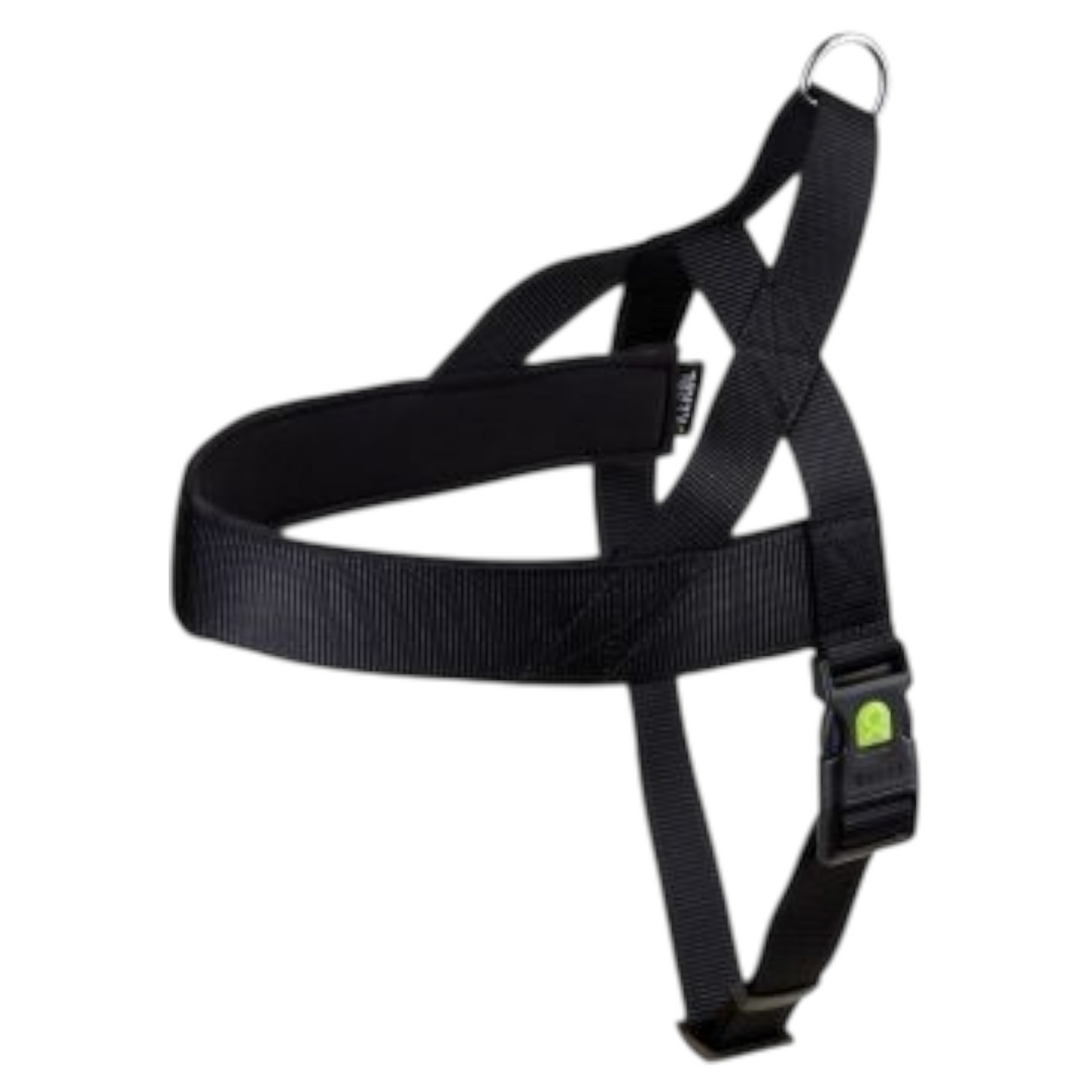 LEOPET Pettorina Miami Plus