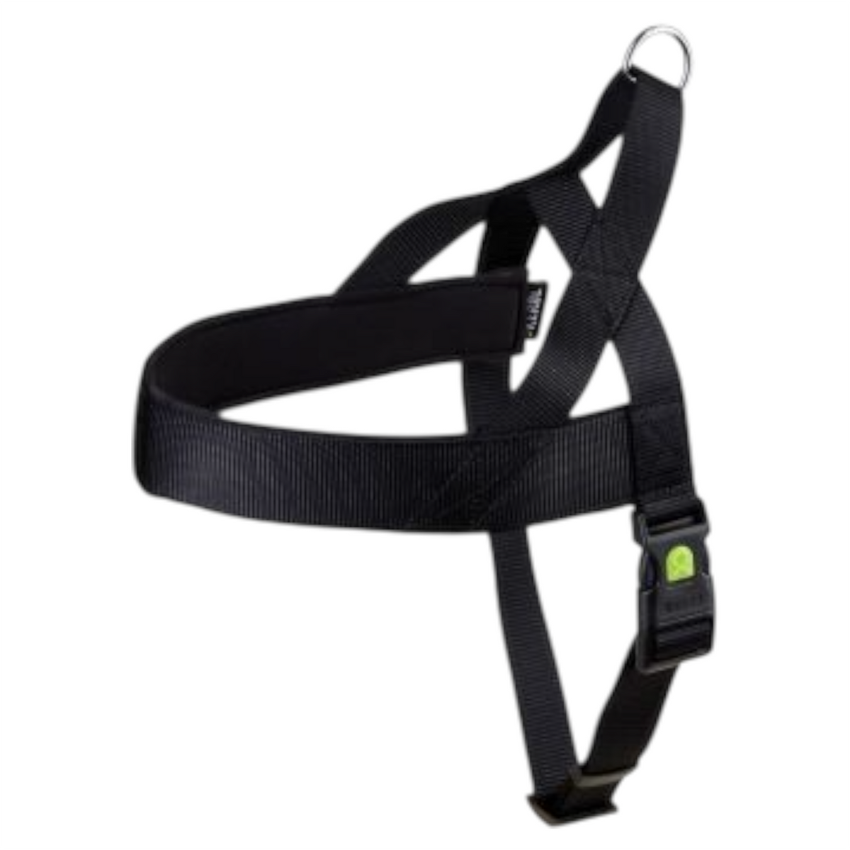LEOPET Pettorina Miami Plus