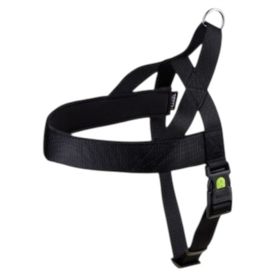 LEOPET Pettorina Miami Plus