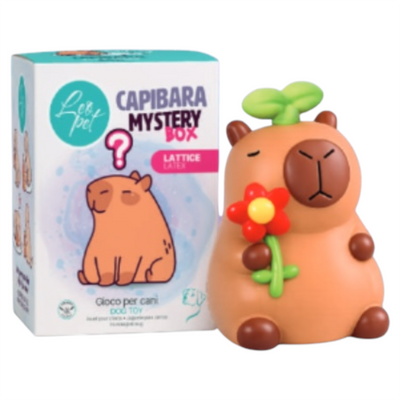 LEOPET Capibara Mystery Box