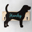 Beagle - Porta guinzaglio e/o chiavi personalizzato con il nome del tuo cane