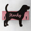 Beagle - Porta guinzaglio e/o chiavi personalizzato con il nome del tuo cane