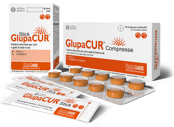 INNOVET Glupacur Cane & Gatto 30 cpr