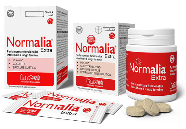 INNOVET Normalia Extra Cane 200 cpr