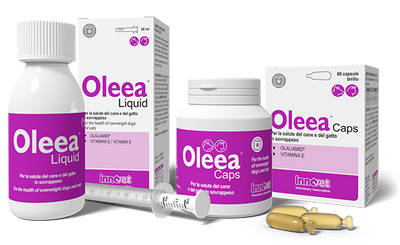 INNOVET Olea Liquid Cane & Gatto 60 cpr