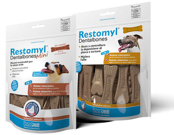 INNOVET Restomyl Dentalbones Regular 482gr
