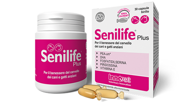INNOVET Senilife Plus Cane & Gatto 60cpr