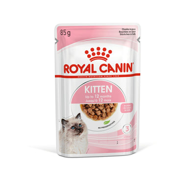 ROYAL CANIN Cat Kitten Instin in Salsa 12x85gr (Pack)